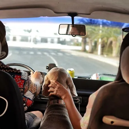 Κάμπινγκ Camelvans Lanzarote Wesfalia Volkswagen T3